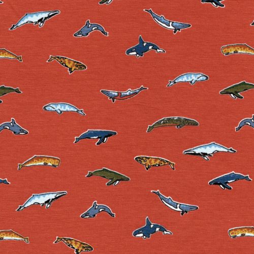 Tissu jersey dauphins/baleines fond orange Poppy