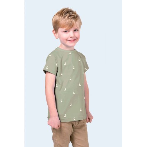 Tissu jersey oies fond vert amande