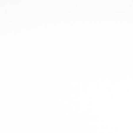 Tissu sweat fin uni blanc
