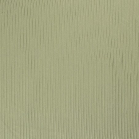 Tissu jersey cotelé 6 mm vert amande