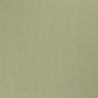 Tissu jersey cotelé 6 mm vert amande