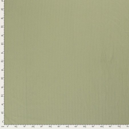 Tissu jersey cotelé 6 mm vert amande
