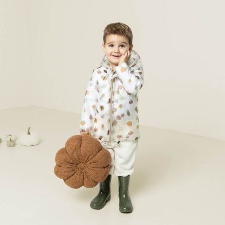 Tissu imperméable transparent fruits d'automne
