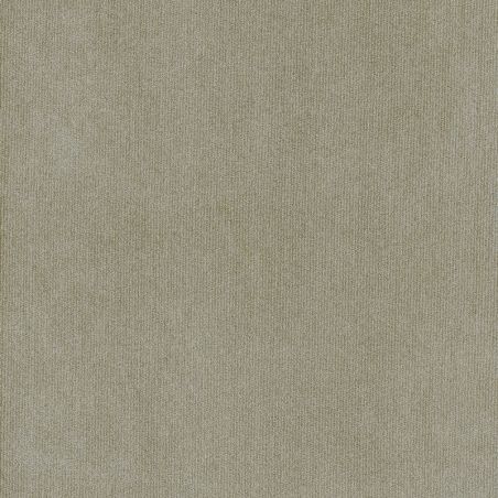 Tissu velours scintillant or fond latte