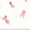 Tissu flannel labrador fond écru Tissu flannel labrador fond écru